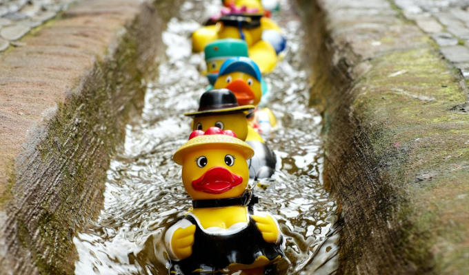 Are your ducks in a row? | Tweets of the week
