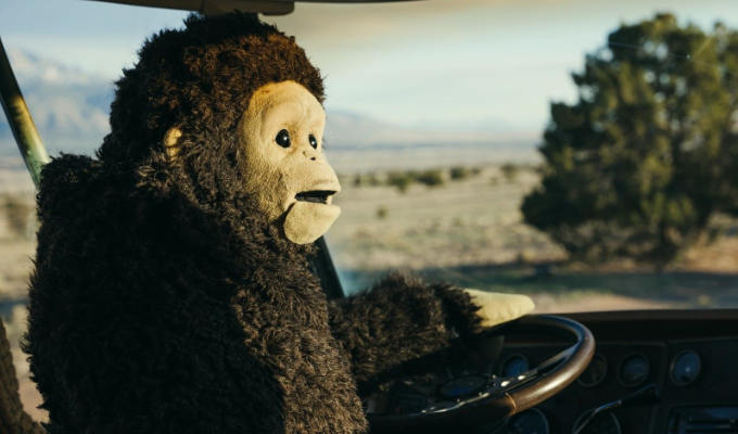 Nina Conti's film Sunlight to premiere in Edinburgh | 'Darkly comedic' road trip - featuring her in a monkey costume